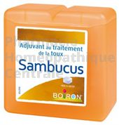 PATES SAMBUCUS, 70g boite 70 pâtes