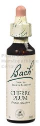 CHERRY PLUM - Fleurs de Bach N°06, 20 ml