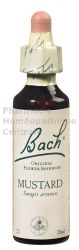 MUSTARD - Fleurs de Bach N°21, 20 ml