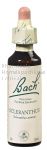 SCLERANTHUS - Fleurs de Bach N°28, 20 ml