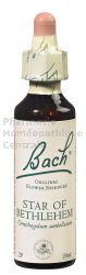 STAR OF BETHLEHEM - Fleurs de Bach N°29, 20 ml