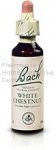 WHITE CHESTNUT - Fleurs de Bach N°35, 20 ml